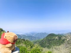 -泰山风景名胜区