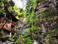 -藏龙百瀑风景区