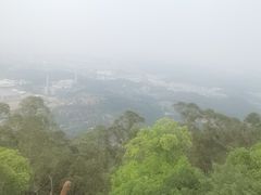 -水濂山森林公园