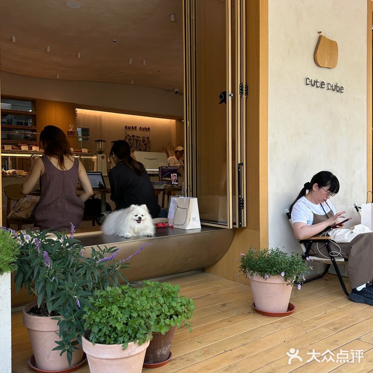 🍞封神‼️‼️‼️武定路掌管碱水吐司的神‼️