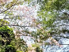 -广东金融学院(校本部)