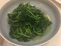 -上海安亭别墅花园酒店