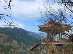 -广州市流溪河国家森林公园