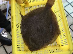 -老字号蛇口德记烧腊饭店·海鲜加工