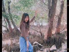 -宝安西湾红树林湿地公园