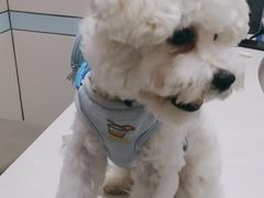 -中农国际动物医院24小时·猫科·骨科·急重症中心