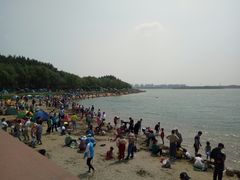-丁香湖公园