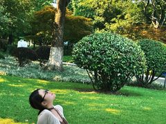 -青枫公园
