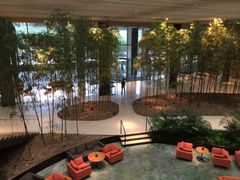 -北京望京凯悦酒店The Lounge大堂酒廊