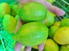 -大力柠·手打柠檬茶(尚悦湾店)