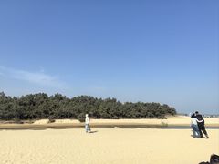 -日照海滨国家森林公园