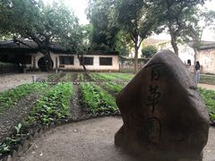 -绍兴鲁迅故里·沈园景区