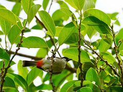 -白沙门生态公园