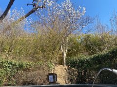 -遵化汤泉宫度假村温泉