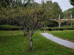 -江南大学(蠡湖校区)