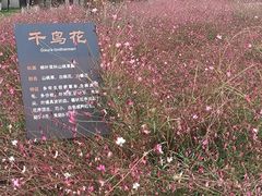 -汉长安城未央宫国家考古遗址公园