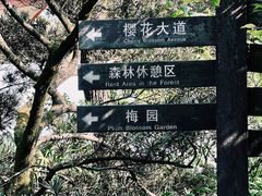 -南山植物园