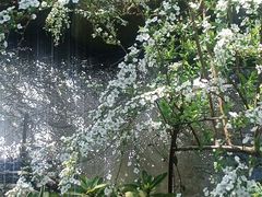 -中国茶叶博物馆(双峰馆区)
