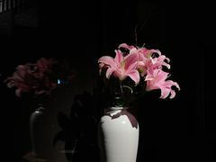 -觀芷隐轩