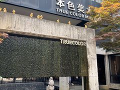 -苏州本色美术馆