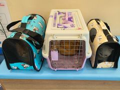 -萌兽医馆·犬猫专科·眼科中心·宠物医院(朝阳门分院)
