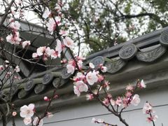 -无锡梅园公园