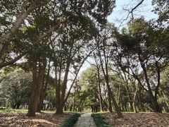 -杭州植物园