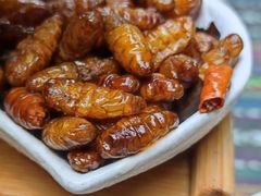 -昆虫窝子·特色云南菜(拓东路总店)