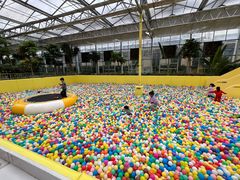 -南宫五洲植物乐园