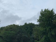 -北极阁公园