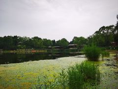 -北坞公园