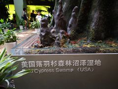 -中国湿地博物馆
