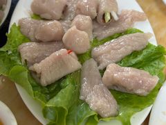 招牌鱼册-金砂阿洲鱼册店