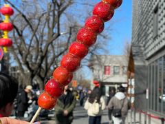 -和禄德冰糖葫芦
