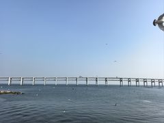 -黑石礁公园
