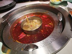-晓宇重庆火锅(赛格国际购物中心店)