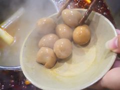 -星鸿社重庆老火锅