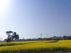 -田园东方蜜桃村的田野营地
