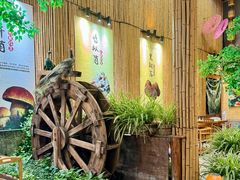 -大理董·董家小厨野生菌火锅(古城旗舰店)