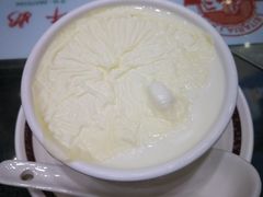 双皮奶-义顺牛奶公司(新马路老店)