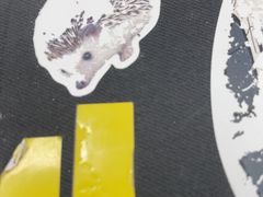 -TESLA 特斯拉(北京后沙峪特斯拉中心)