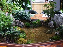 -森味薪火烧•烧鸟居酒屋•日本料理(望京店)