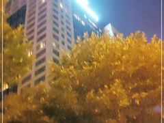 -上海新发展亚太JW万豪酒店