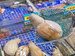 -明记海鲜大排档(巽寮湾店)