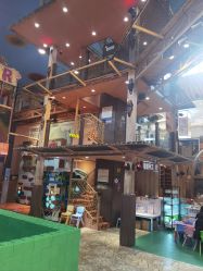 -卡通尼·Safari非洲探索乐园·生日会(金桥国际商业广场店)