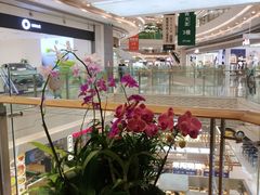 -天虹购物中心(深圳龙华店)
