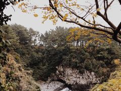 -龙头岩(Dragon Head Rock)