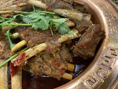 羊排蝎子锅-友乐居羊蝎子(西直门店)