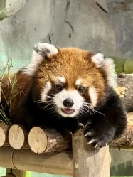 -Zoolung Zoolung动物主题公园(海信广场店)