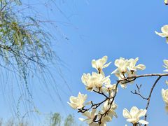 -江苏三台山国家森林公园